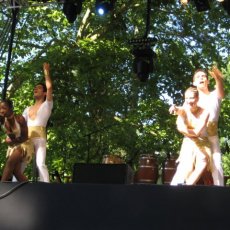 Y Salsa 08